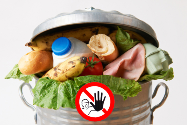 foodsharing, lebensmittelverschwendung, food waste, wegwerfgesellschaft
